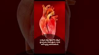 తేనె దాల్చిన చెక్క ఉపయోగాలు#Health benefits # Good health #Good food # Health precautions.