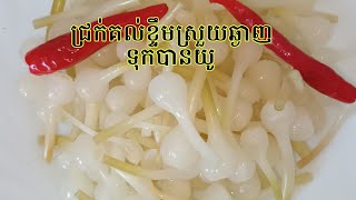 វិធីធ្វើជ្រក់គល់ខ្ទឹម