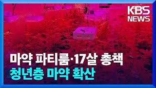 대마 파티룸에 17살 총책까지…‘MZ 맞춤’ 마약 대책 시급 / KBS  2023.01.30.