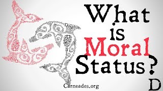 What is Moral Status? (Philosophical Definition)