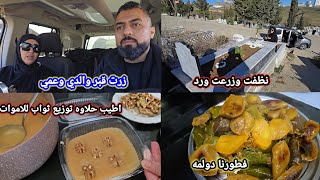 زرنا  قبر والدي وعمي نظفت وزرعت ورد وزعت حلاوه ثواب اخر خميس من شهر رجب