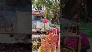 வெற்றிவேல் முருகா🙏 #murugantemple #murugan #vel #pambanswamigal #trending #devotional #ommuruga