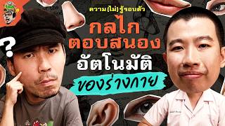 อาการแปลกที่เกิดขึ้นอัตโนมัติของร่างกาย | ความ(ไม่)รู้รอบตัว