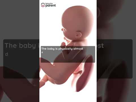 Is 36 weeks considered 9 months pregnant?