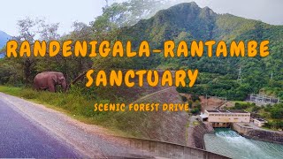 Scenic forest drive through Victoria-Randenigala-Rantambe sanctuary Sri Lanka