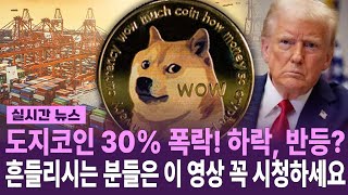 도지코인 30% 폭락한 현 시점 가장 완벽한 대응방법 \