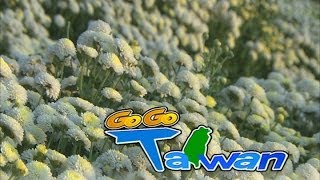 [HD] GoGoTaiwan Ep92 苗栗 銅鑼.卓蘭 花果之旅