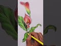 🔥 Perfect Drawing Technique for beginners #flowerdrawing  #shorts #sketchbookbyabhishek #drawing