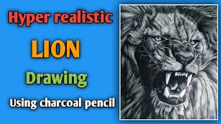 Hyper realistic Lion drawing/30+hours time-lapse video