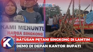 Ratusan Petani Singkong di Lamtim Demo, Ketua DPRD Ancam Tutup Perusahaan Sementara