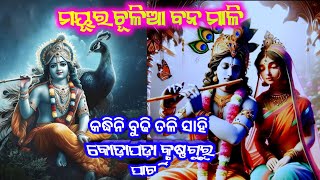 ମୟୂର ଚୂଳିଆ ବନ ମାଳି କଦ୍ଧିନି ବୁଢି ତଳି ସାହି କୋଡ଼ାପଡ଼ା କୃଷ୍ଣଗୁରୁ ପାର୍ଟି Kodapada krushnagurubhajan