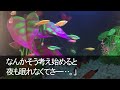 夫の愛人と隠し子が突然やって来た 愛人「今日から一緒に住むwお前は奴隷で寝床は便所なw」私「出ていくからご勝手にどうぞ」夫・愛人・隠し子「え、ちょっと待ってw」結果【修羅場】