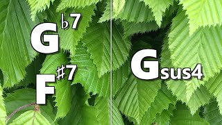 Gb7 (F#7) to Gsus4 Backing Track