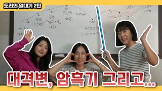 도리가 해체할 뻔했던 이유😲 | 도리의 일대기 2탄  DORI's History part 2