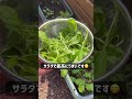 特権ゲット🧑‍🌾　　　　　 ベランダ菜園 プランター菜園 家庭菜園 gardening