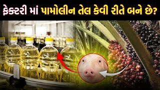 પામોલીન તેલ કેવી રીતે ત્યાર થાઈ છે ? How Palm Oil Is Made In Factory | Palm Oil Manufacturing