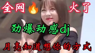 DJ情歌《月亮知道我想你的方式》扎心催泪，听哭了痴情人