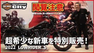 【超希少】「ローライダーS」の新車を特別販売！【FXLRS】