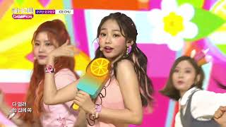 Show Champion EP.242 gugudan OGUOGU - ICE CHU [구구단 오구오구 - 아이스 츄]