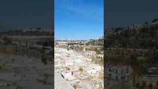 Mount of Olives, The Temple Mount in Jerusalem,Israel