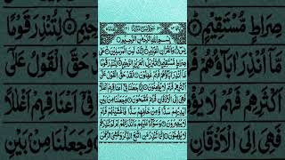 Surah yaseen | The Holy Quran | 🌺beautiful tilawat🌺0010