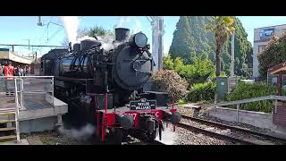 katoomba station picnic heritage steam train