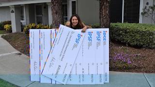 IPSF Innovative Grants Program 2019