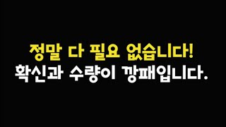 긴급 속보! 오픈AI 자체 AI 반도체 생산? 엔비디아 독점 깬다고? 내가 TQQQ를 투자하는 이유?