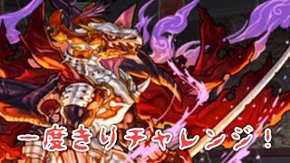 【パズドラ】第19回一度きりチャレンジ 転生サクヤ×立花ぎん千代