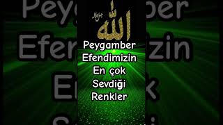 Peygamber Efendimizin en çok sevdiği renkler