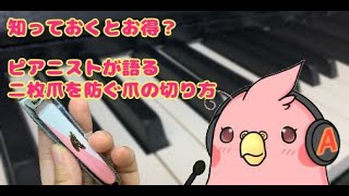 【知っておくとお得？ピアニストが語る二枚爪を防ぐ爪の切り方】