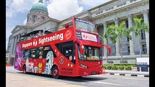 Singapore : City Sightseeing Hop-On, Hop-Off Bus Tour