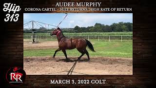 Ruidoso Select Yearling Hip 313