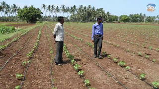 Ambuja Cement Ltd. | Water resource management