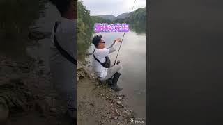 2024.5.6朝からチャターを投げちゃったぁ〜🤣宇治川ブラックバス釣り！ #ブラックバス #bassfishing #fishing