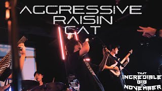 Aggressive Raisin Cat Live at That Incredible Gig in November