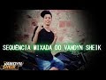 SEQUÊNCIA MIXADA DO VANDYN SHEIK ( VOLUME 001 ) 150 BPM