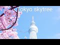 Tokyo skytree 2022 | Tokyo skytree view#shorts#tokyo#skytree