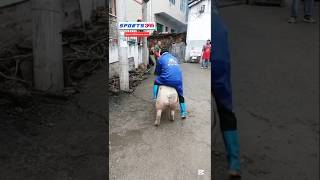 Ye to bahut badhiya गाड़ी है 😱😱||funny||#shortvideos #shorts #comedy