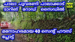 40 CENT BEAUTIFUL HOUSEPLOT FOR SALE NEAR PALA POOVARANY PAALAKKAD #landforsale #landsales #home 651