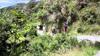 Rimutaka Forest Park- Catchpool Valley and Orongorongo Valley