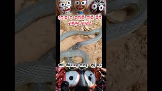 ଭୋକ ନ ସମ୍ଭାଳି ପାରି ନିଜ ଦେହ କୁ ନିଜେ ଖାଉଛି jagannath bhajan #sad #jagannath #odiabhajan #malikabachana