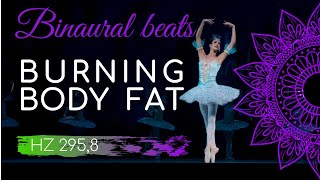 Burning body fat. Frequency 295.8 Hz. Binaural sounds