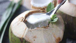 Thailand Coconut Jelly  -  泰国香椰果冻