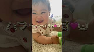 【生後7ヶ月🎀最近ハマってるもの🧸‪🤎妹】#shorts #shortsbaby #cute #baby #赤ちゃん #癒し動画 #いのりんちゃんねる