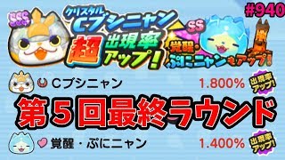 Cブシニャン超アップ最終ガシャ！『妖怪ウォッチぷにぷに』Yo-Kai Watch