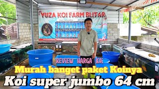 Kebangeten murahnya paket koi di tempat ini!! Ada koi jumbo 64 cm ikut di Review