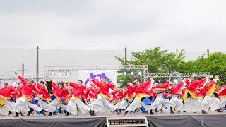 [4K] 皇學館大学よさこい部 雅　2日目　犬山踊芸祭 2019