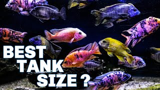 African Cichlids - Which Tank Size Should You Get?