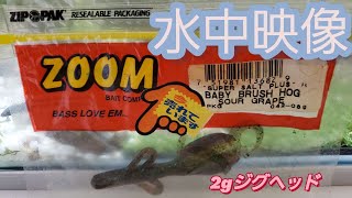 【水中映像】ZOOM BABY BRUSH HOG(2gジグヘッド頭刺し)